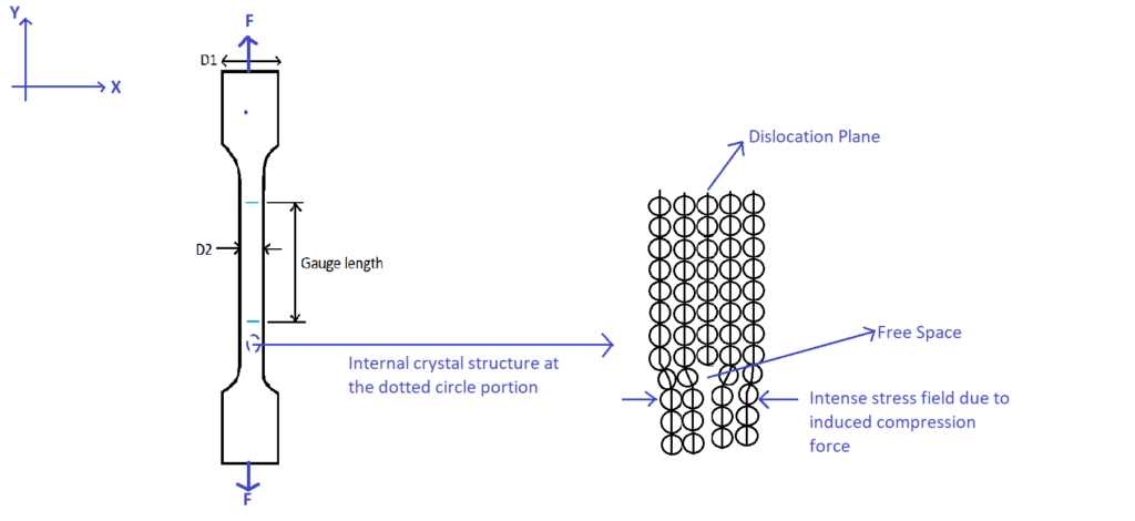 Dog bone specimen modified