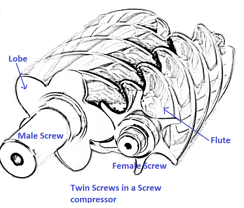 Figure 1 Typical Twin Screw Compressor