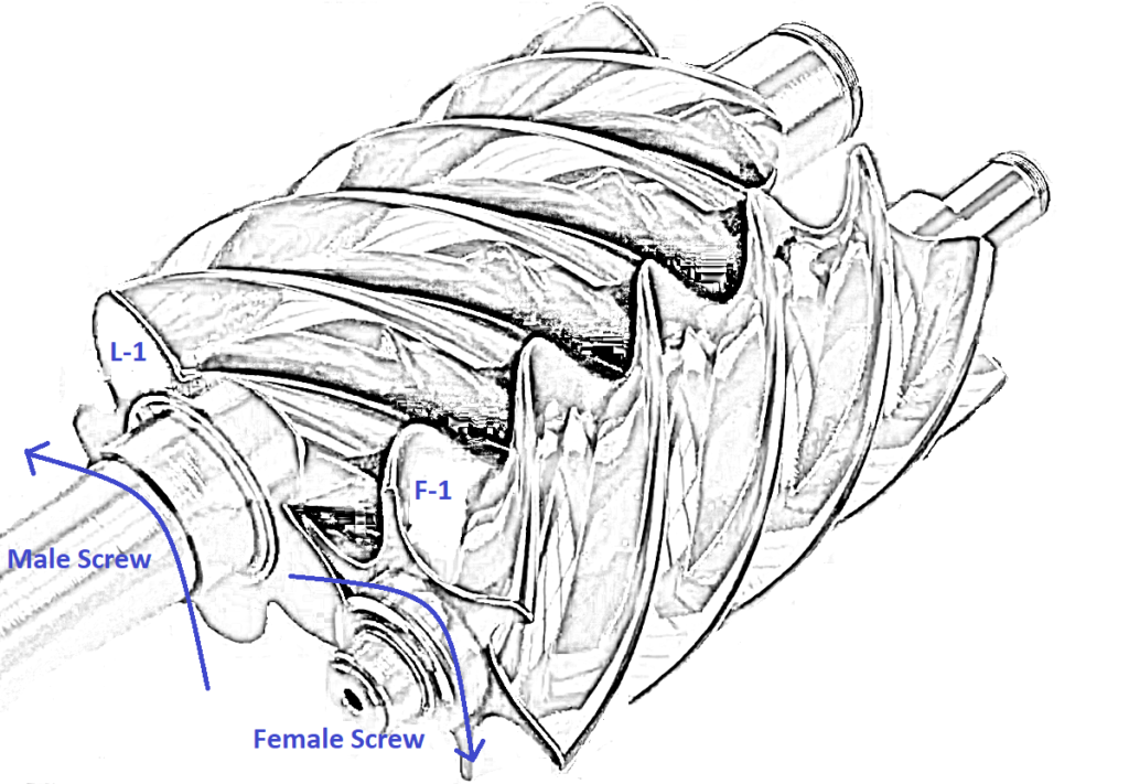 Figure 3 Initial Position of Lobe L 1 and Flute F 1