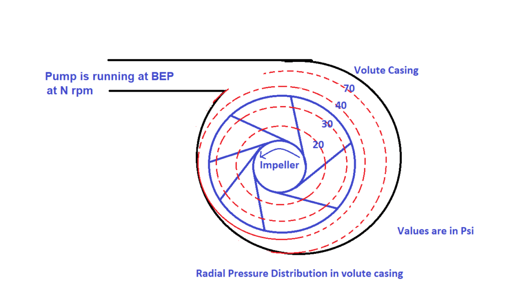 Figure 3 Radial Pressure Distribution at BEP