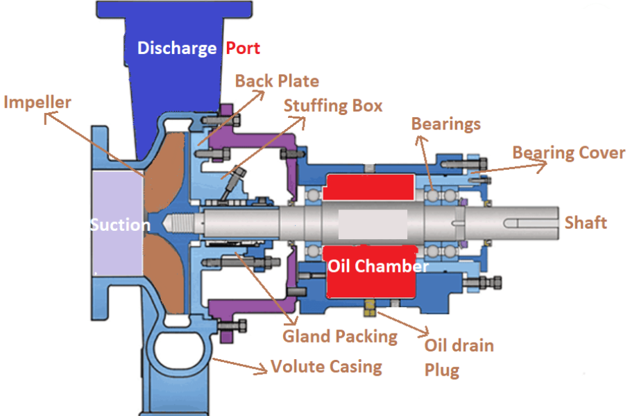 A Comprehensive Look at Installing and Maintaining a Back Pull-Out Type Centrifugal Pump