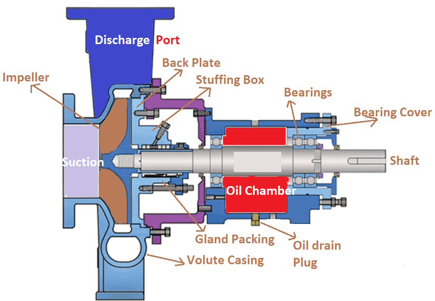 pump sectional view