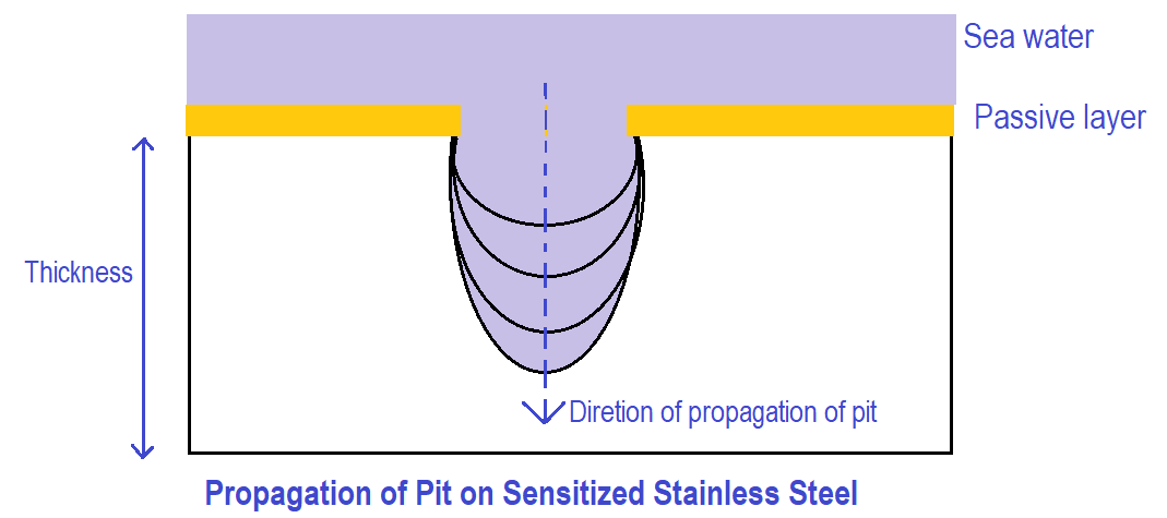 Propagation of Pit